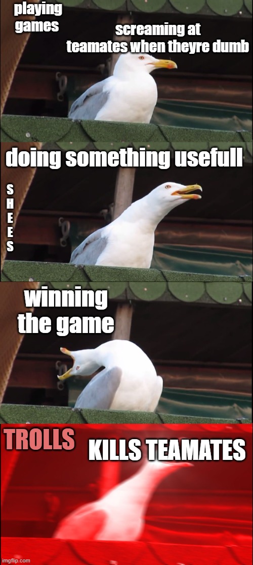 Inhaling Seagull | playing games; screaming at teamates when theyre dumb; doing something usefull; S
H
E
E
S; winning the game; TROLLS; KILLS TEAMATES | image tagged in memes,inhaling seagull | made w/ Imgflip meme maker