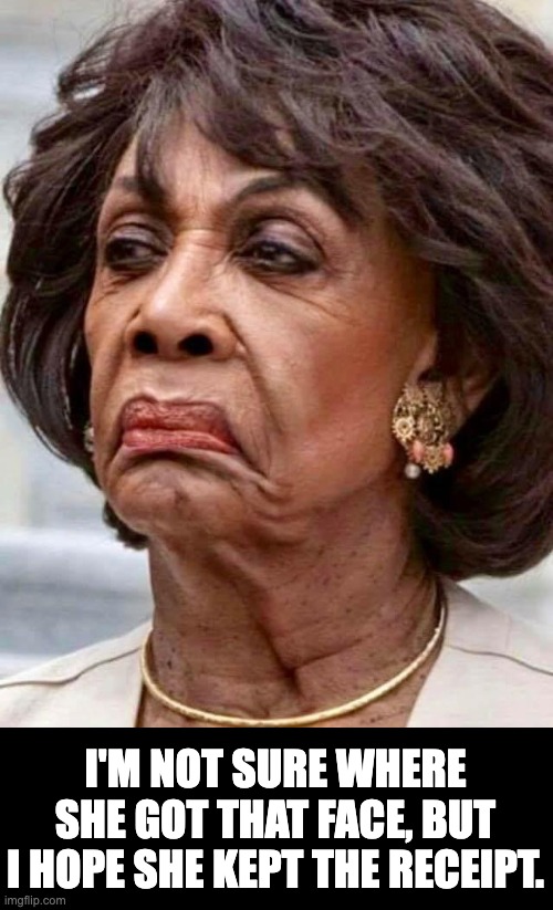 Maxine Waters | I'M NOT SURE WHERE SHE GOT THAT FACE, BUT I HOPE SHE KEPT THE RECEIPT. | image tagged in maxine waters | made w/ Imgflip meme maker