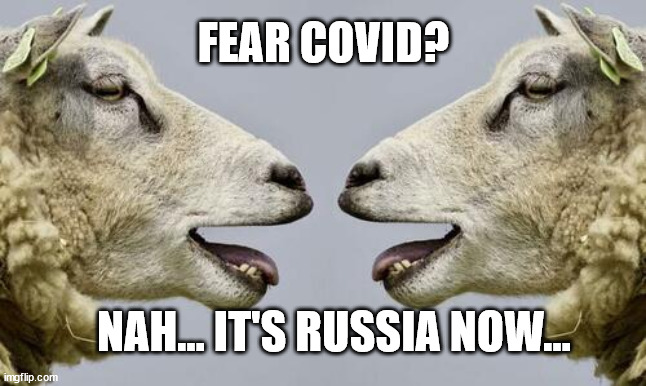 Mass formation psychosis | FEAR COVID? NAH... IT'S RUSSIA NOW... | image tagged in mainstream media,lies | made w/ Imgflip meme maker