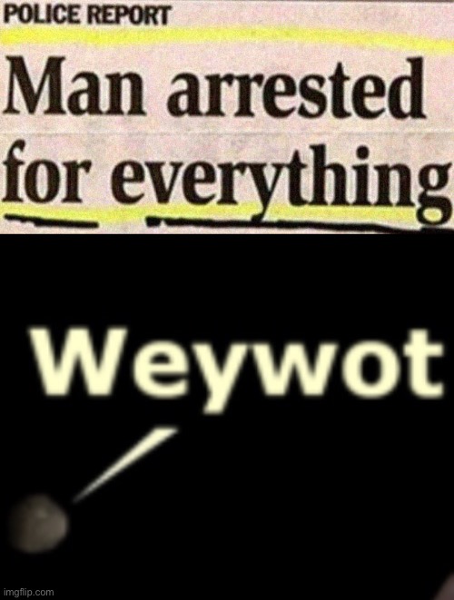 Weywot | image tagged in memes,funny,arrested,florida man,wait what,puns | made w/ Imgflip meme maker