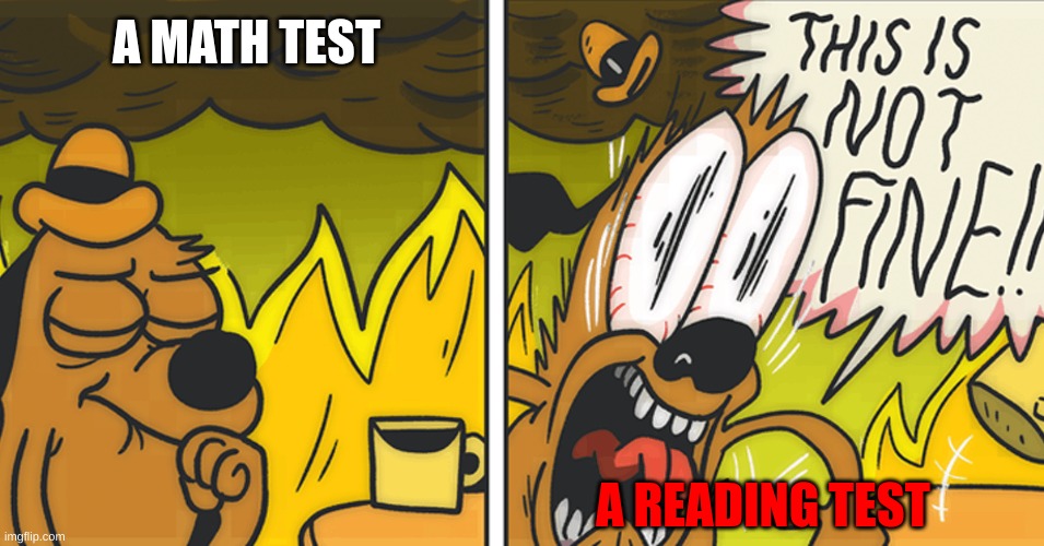 its my opinion ok | A MATH TEST; A READING TEST | image tagged in this is not fine | made w/ Imgflip meme maker