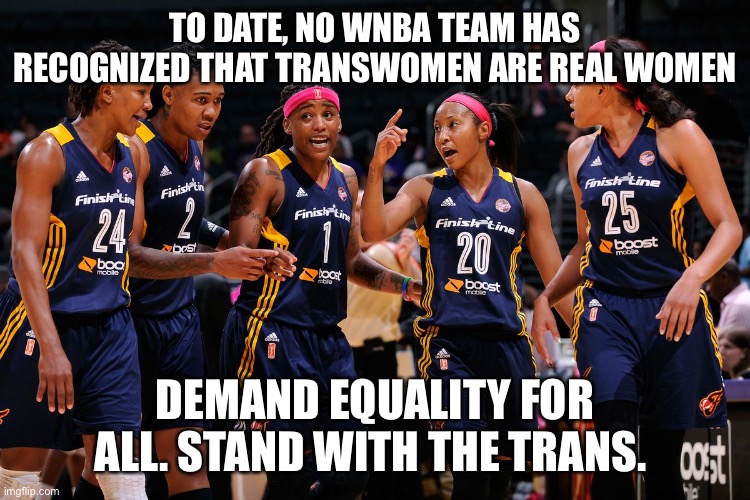 WNBA players | TO DATE, NO WNBA TEAM HAS RECOGNIZED THAT TRANSWOMEN ARE REAL WOMEN; DEMAND EQUALITY FOR ALL. STAND WITH THE TRANS. | image tagged in wnba players | made w/ Imgflip meme maker