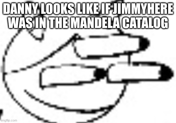 Idiot Staring | DANNY LOOKS LIKE IF JIMMYHERE WAS IN THE MANDELA CATALOG | image tagged in idiot staring | made w/ Imgflip meme maker
