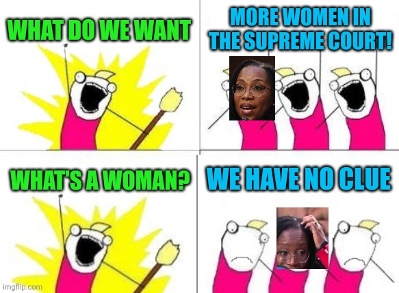 She's a lawyer,  not a biologist! But my 3 year old can tell me what a woman is. |  WHAT DO WE WANT; MORE WOMEN IN THE SUPREME COURT! WHAT'S A WOMAN? WE HAVE NO CLUE | image tagged in memes,what do we want | made w/ Imgflip meme maker