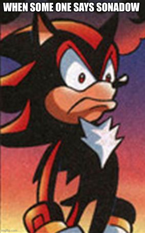 SONIC FANBASE REACTION | WHEN SOME ONE SAYS SONADOW | image tagged in sonic fanbase reaction | made w/ Imgflip meme maker
