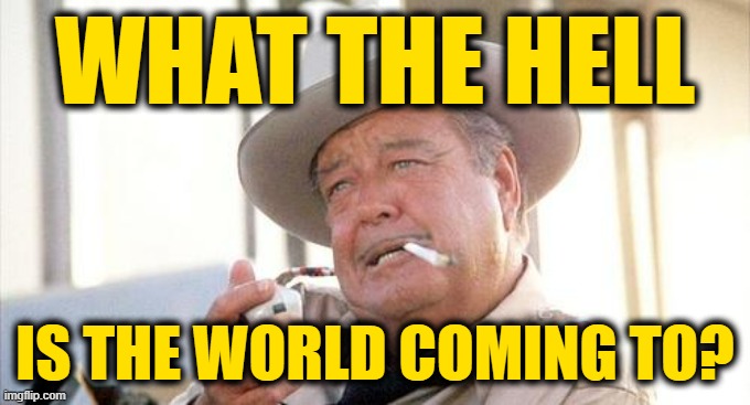 Buford T Justice | WHAT THE HELL IS THE WORLD COMING TO? | image tagged in buford t justice | made w/ Imgflip meme maker
