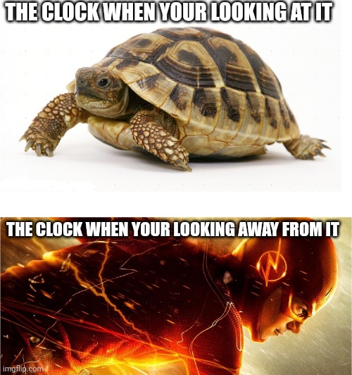 Time is fast. |  THE CLOCK WHEN YOUR LOOKING AT IT; THE CLOCK WHEN YOUR LOOKING AWAY FROM IT | image tagged in slow vs fast meme,memes,clock,time | made w/ Imgflip meme maker