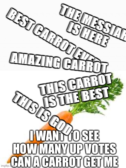 THE MESSIAH IS HERE; BEST CARROT EVER; AMAZING CARROT; THIS CARROT IS THE BEST; THIS IS GOD; I WANT TO SEE HOW MANY UP VOTES CAN A CARROT GET ME | image tagged in white box | made w/ Imgflip meme maker