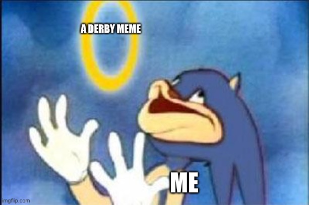 Sonic derp | A DERBY MEME; ME | image tagged in sonic derp | made w/ Imgflip meme maker