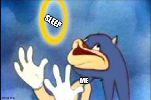 Sonic derp | SLEEP; ME | image tagged in sonic derp | made w/ Imgflip meme maker
