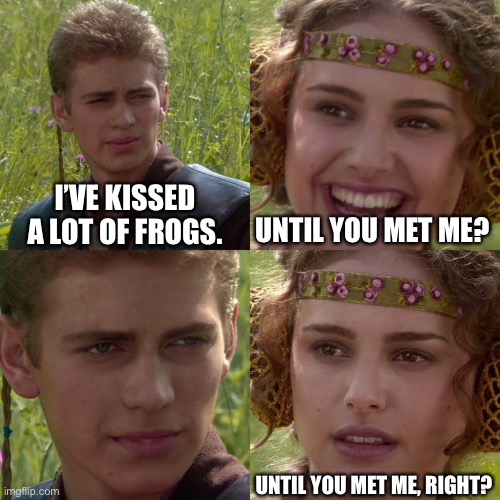 Frog Kiss | I’VE KISSED A LOT OF FROGS. UNTIL YOU MET ME? UNTIL YOU MET ME, RIGHT? | image tagged in anakin padme 4 panel | made w/ Imgflip meme maker