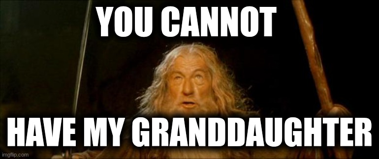 gandalf you shall not pass | YOU CANNOT HAVE MY GRANDDAUGHTER | image tagged in gandalf you shall not pass | made w/ Imgflip meme maker