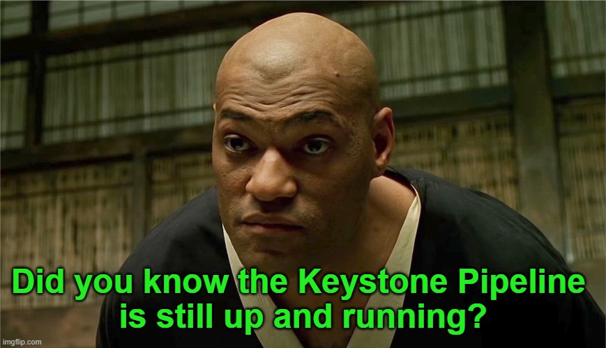 Morpheus do you really think | Did you know the Keystone Pipeline 
is still up and running? | image tagged in morpheus do you really think | made w/ Imgflip meme maker