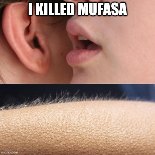 Whisper and Goosebumps | I KILLED MUFASA | image tagged in whisper and goosebumps | made w/ Imgflip meme maker