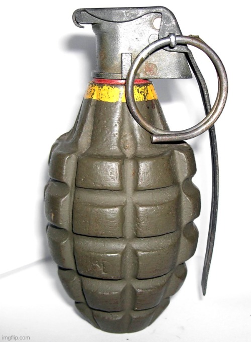 grenade | image tagged in grenade | made w/ Imgflip meme maker