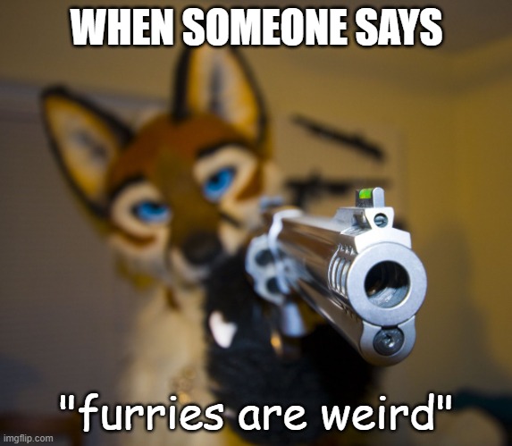 Furry with gun | WHEN SOMEONE SAYS; "furries are weird" | image tagged in furry with gun | made w/ Imgflip meme maker