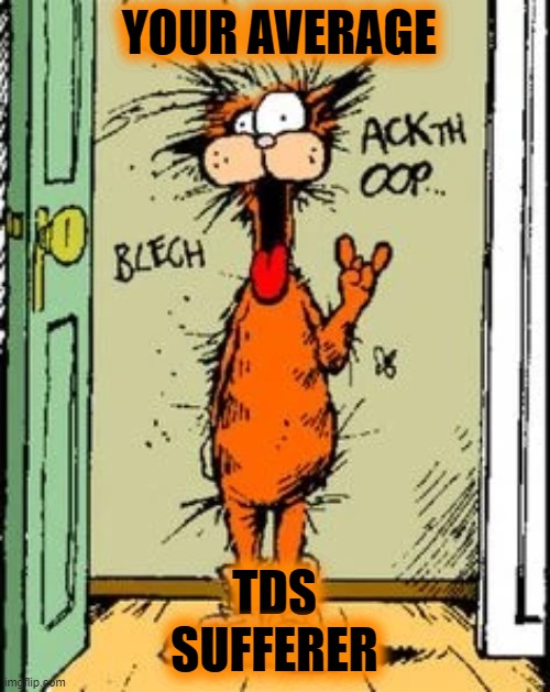 YOUR AVERAGE TDS
SUFFERER | made w/ Imgflip meme maker