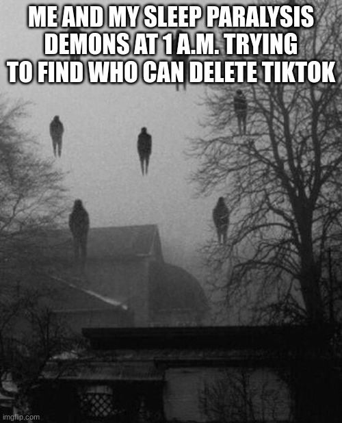 Wish us luck... this is gonna take a loooong time | ME AND MY SLEEP PARALYSIS DEMONS AT 1 A.M. TRYING TO FIND WHO CAN DELETE TIKTOK | image tagged in me and the boys at 3 am | made w/ Imgflip meme maker