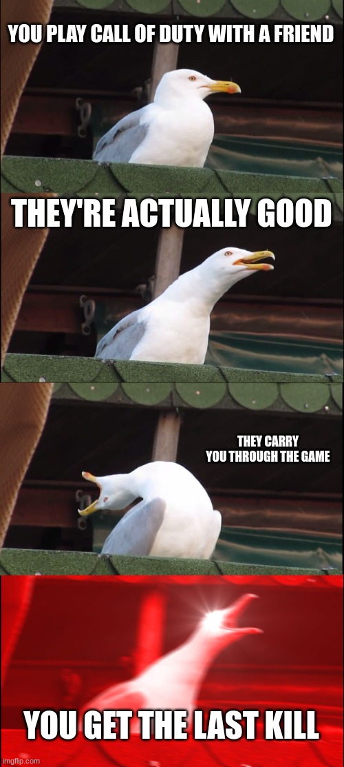 Get that win | YOU PLAY CALL OF DUTY WITH A FRIEND; THEY'RE ACTUALLY GOOD; THEY CARRY YOU THROUGH THE GAME; YOU GET THE LAST KILL | image tagged in memes,inhaling seagull | made w/ Imgflip meme maker