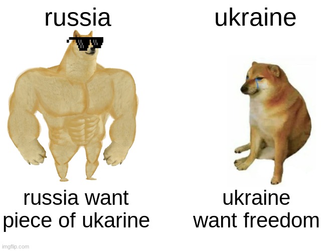 Buff Doge vs. Cheems Meme | russia; ukraine; russia want piece of ukarine; ukraine want freedom | image tagged in memes,buff doge vs cheems | made w/ Imgflip meme maker