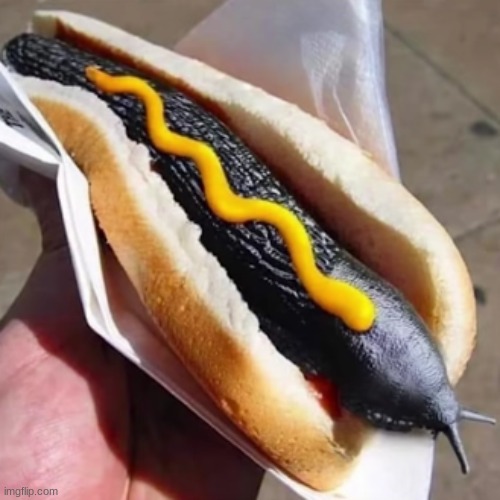 Hot Dog Slug | image tagged in hot dog slug | made w/ Imgflip meme maker