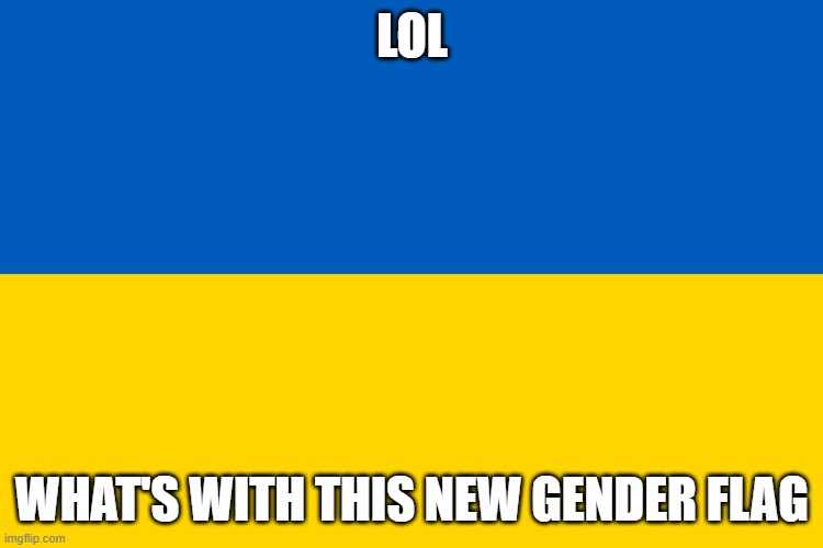 ///////////////JJJJJJJJJJJJJJJJJJJJJJJ | LOL; WHAT'S WITH THIS NEW GENDER FLAG | image tagged in ukraine flag | made w/ Imgflip meme maker