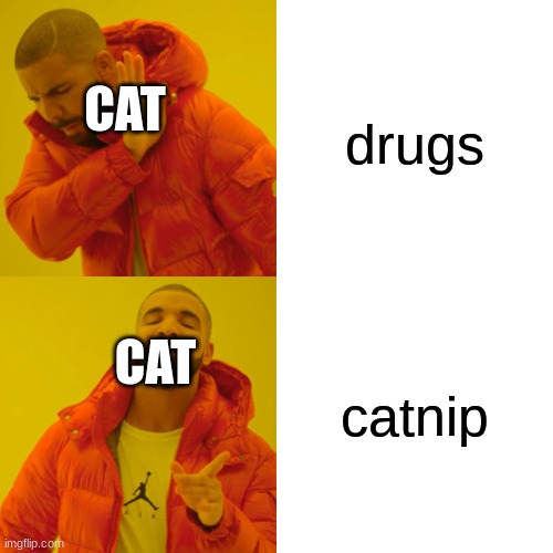 Drake Hotline Bling Meme | drugs catnip CAT CAT | image tagged in memes,drake hotline bling | made w/ Imgflip meme maker