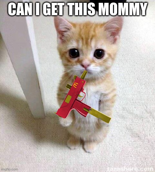 can i get this? | CAN I GET THIS MOMMY | image tagged in memes,cute cat | made w/ Imgflip meme maker