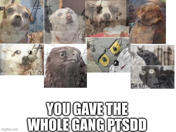 ptsd | image tagged in ptsd | made w/ Imgflip meme maker