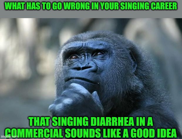 Deep Thoughts | WHAT HAS TO GO WRONG IN YOUR SINGING CAREER THAT SINGING DIARRHEA IN A COMMERCIAL SOUNDS LIKE A GOOD IDEA | image tagged in deep thoughts | made w/ Imgflip meme maker