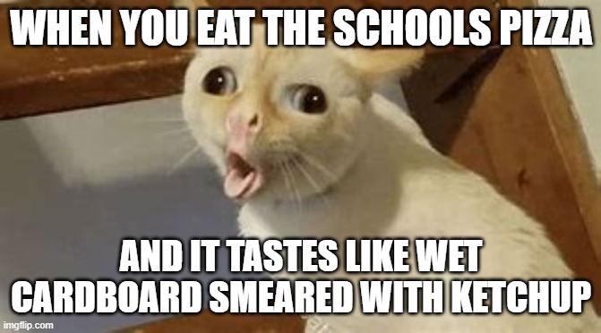 WHEN YOU EAT THE SCHOOLS PIZZA; AND IT TASTES LIKE WET CARDBOARD SMEARED WITH KETCHUP | image tagged in gross | made w/ Imgflip meme maker