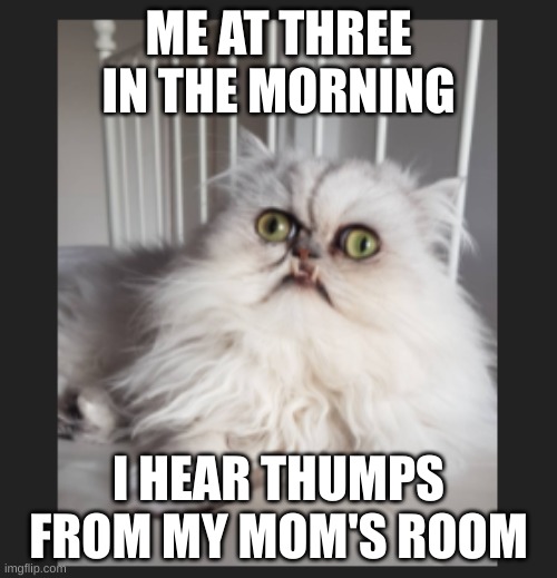 ME AT THREE IN THE MORNING; I HEAR THUMPS FROM MY MOM'S ROOM | made w/ Imgflip meme maker