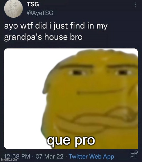 que pro | que pro | image tagged in adventure time | made w/ Imgflip meme maker