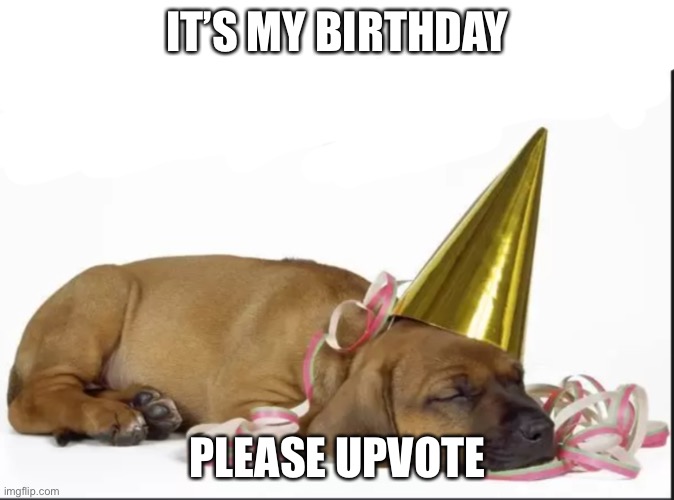 IT’S MY BIRTHDAY; PLEASE UPVOTE | image tagged in doge | made w/ Imgflip meme maker