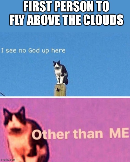 I see no god up here | FIRST PERSON TO FLY ABOVE THE CLOUDS | image tagged in hail pole cat | made w/ Imgflip meme maker