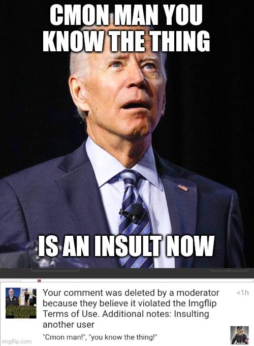 Cmon man, you know, the thing.... | CMON MAN YOU KNOW THE THING; IS AN INSULT NOW | image tagged in joe biden | made w/ Imgflip meme maker