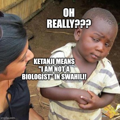 Third World Skeptical Kid | OH REALLY??? KETANJI MEANS "I AM NOT A BIOLOGIST" IN SWAHILI! | image tagged in memes,third world skeptical kid | made w/ Imgflip meme maker