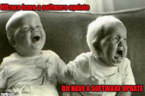 Lol baby vs WTF baby | HDzero have a software update; DJI HAVE A SOFTWARE UPDATE | image tagged in lol baby vs wtf baby | made w/ Imgflip meme maker