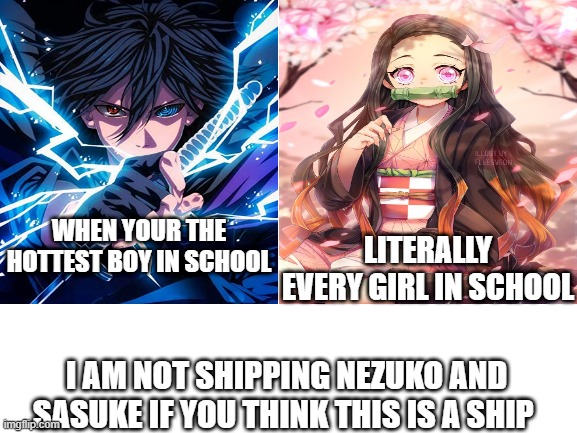 literally every high school | WHEN YOUR THE HOTTEST BOY IN SCHOOL; LITERALLY EVERY GIRL IN SCHOOL; I AM NOT SHIPPING NEZUKO AND SASUKE IF YOU THINK THIS IS A SHIP | image tagged in anime meme | made w/ Imgflip meme maker