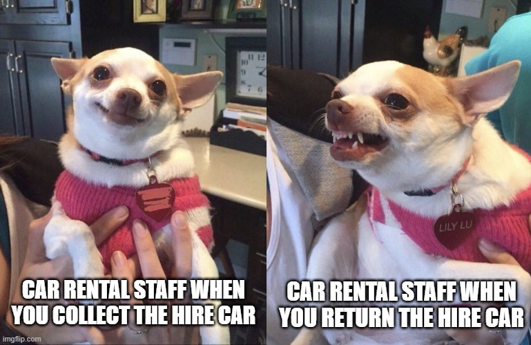 Also applies to landlords | CAR RENTAL STAFF WHEN YOU COLLECT THE HIRE CAR; CAR RENTAL STAFF WHEN YOU RETURN THE HIRE CAR | image tagged in smiling dog angry dog,car hire | made w/ Imgflip meme maker