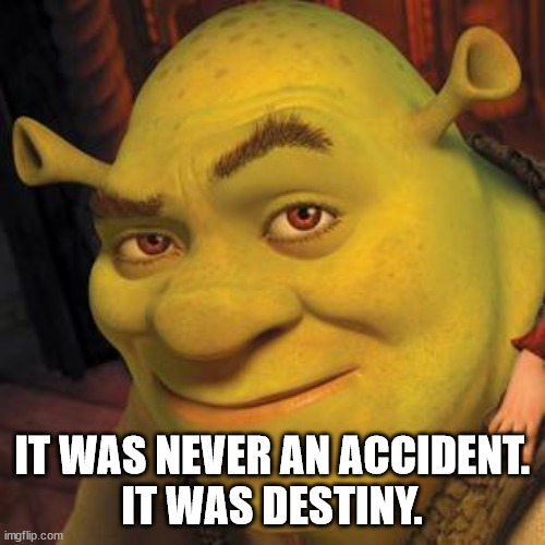 Shrek Sexy Face | IT WAS NEVER AN ACCIDENT.
IT WAS DESTINY. | image tagged in shrek sexy face | made w/ Imgflip meme maker