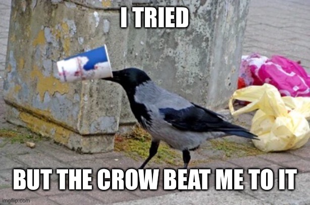 I TRIED BUT THE CROW BEAT ME TO IT | made w/ Imgflip meme maker