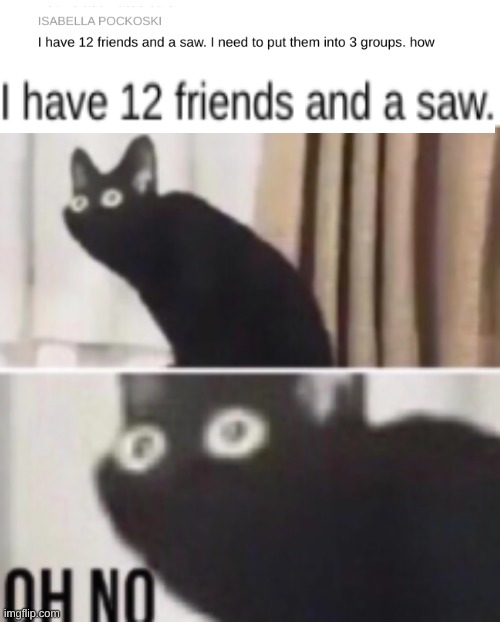 Oh no cat | image tagged in oh no cat | made w/ Imgflip meme maker