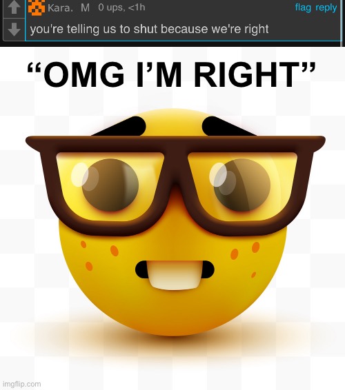 “OMG I’M RIGHT” | image tagged in nerd emoji,memes | made w/ Imgflip meme maker