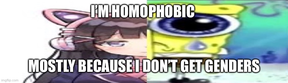 Spongebobgender | I’M HOMOPHOBIC; MOSTLY BECAUSE I DON’T GET GENDERS | image tagged in lol | made w/ Imgflip meme maker