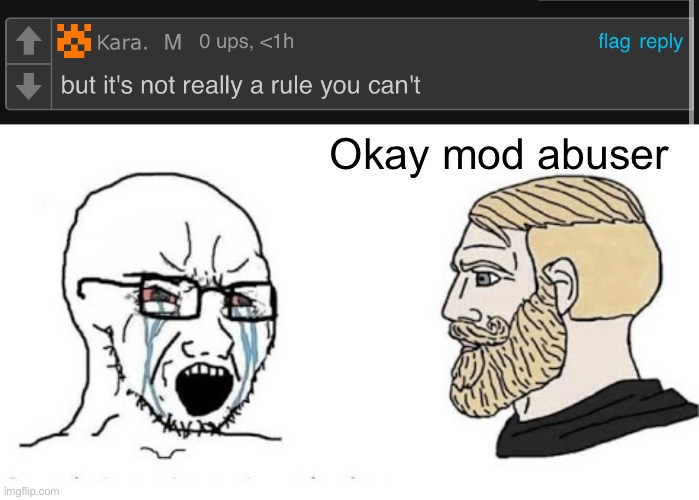 Okay mod abuser | image tagged in soyjak vs chad | made w/ Imgflip meme maker