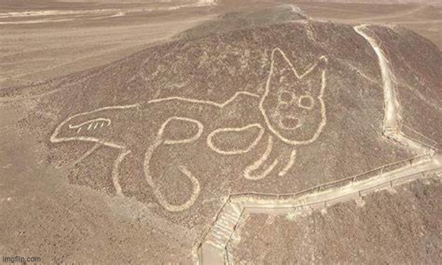 Nazca cat | image tagged in nazca cat,native american,ancient,culture | made w/ Imgflip meme maker