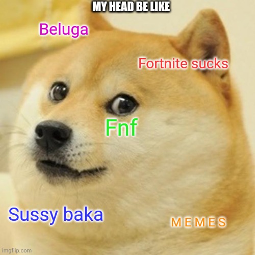 Doge Meme |  MY HEAD BE LIKE; Beluga; Fortnite sucks; Fnf; Sussy baka; M E M E S | image tagged in memes,doge | made w/ Imgflip meme maker