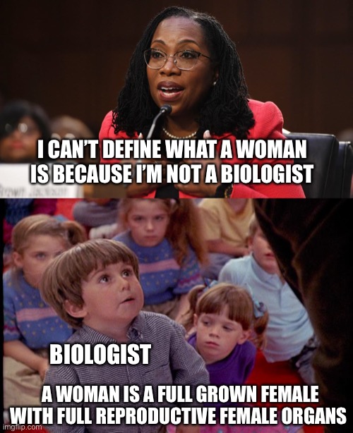  I CAN’T DEFINE WHAT A WOMAN IS BECAUSE I’M NOT A BIOLOGIST; BIOLOGIST; A WOMAN IS A FULL GROWN FEMALE WITH FULL REPRODUCTIVE FEMALE ORGANS | image tagged in ketanji brown jackson,kindergarten cop kid | made w/ Imgflip meme maker