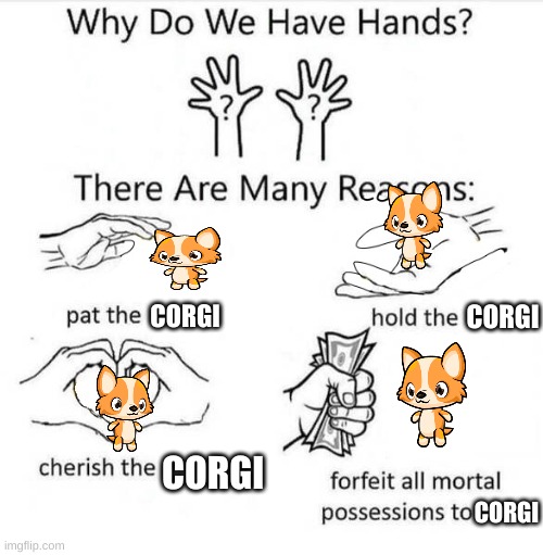 Why Do We Have Hands | CORGI; CORGI; CORGI; CORGI | image tagged in why do we have hands | made w/ Imgflip meme maker